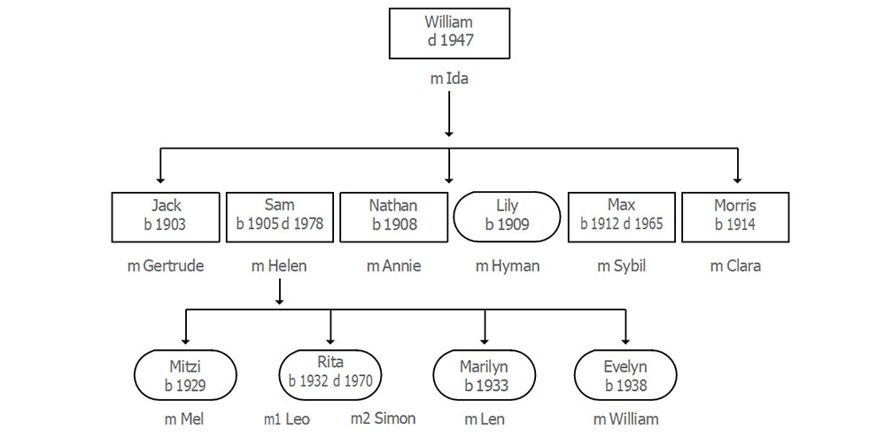 The-Steinberg-Story-flow-chart.jpg